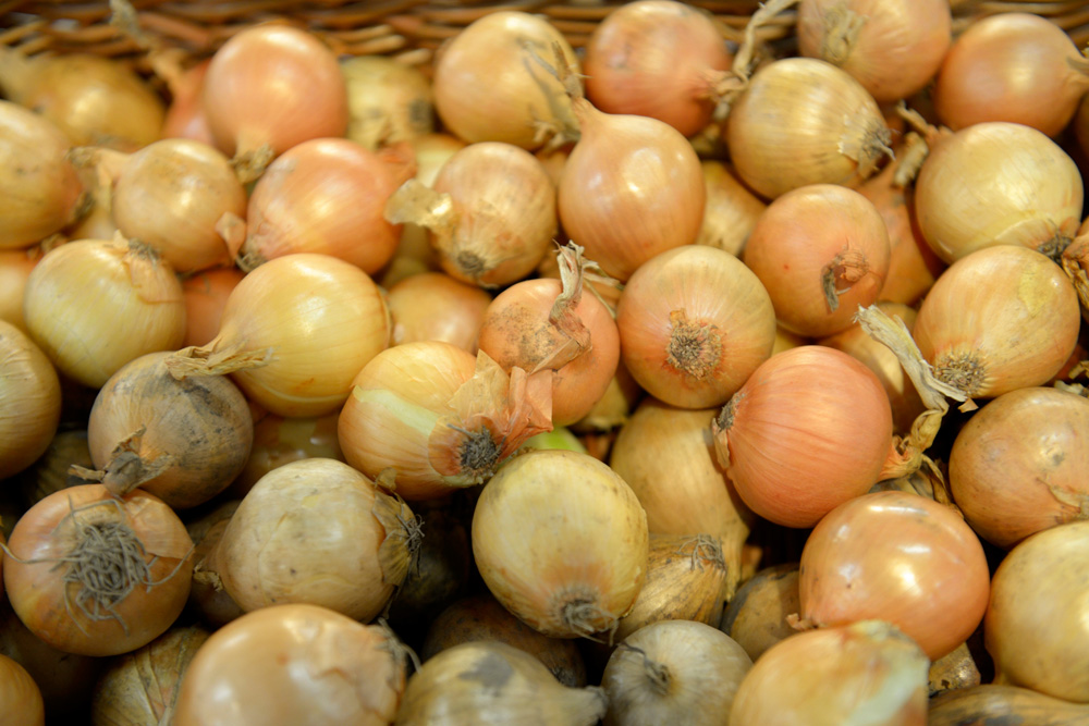 ONIONS AT THEIR BEST