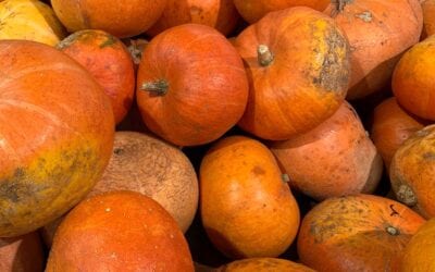Pumpkin Power
